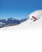 Black Tie Ski Rental Delivery photo
